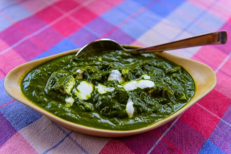 palak paneer traditional goan indian food. paneer and spinach gravy sauceの写真素材