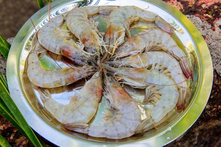 Fresh shrimp on a platter in a form of a circleの写真素材