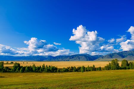 Mountain valley, golden autumn panorama landscape, Siberia, Altai Republic, Russiaの写真素材