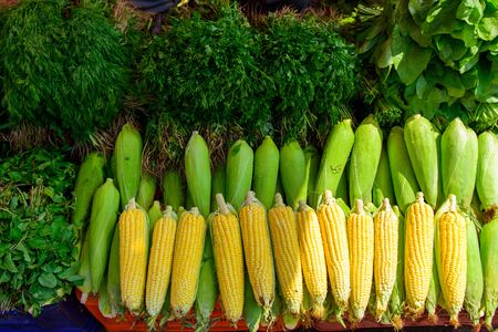 Ripe corn in drops of water and a variety of greens close-up. Local farmer vegetable market in Asia. Counter with corncobs.の写真素材