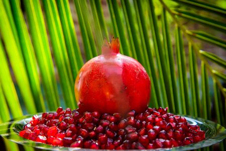 Whole pomegranate and seeds on the background of green palm leaves. Organic bio fruits, food on vacation in tropical countries.の写真素材