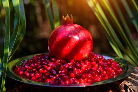 Whole pomegranate in the middle of ripe pomegranate seeds against palm leaves. Still life with pomegranate fruit. Food for health and longevity.の写真素材