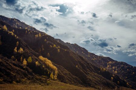 Rocky mountain overgrown with yellow trees against the cloudy autumn sky is illuminated by the rays of the setting sun. Majestic fall landscape, close-up.の写真素材