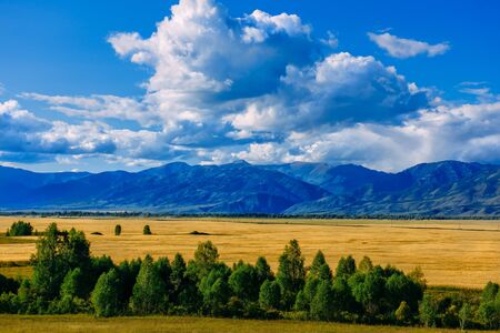 Mountain valley, golden autumn panorama landscape, Siberia, Altai Republic, Russiaの写真素材