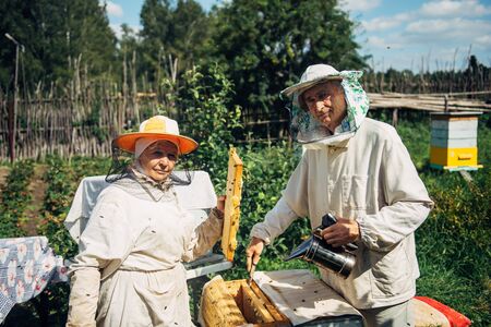 Beekeepers near beehive to ensure health of bee colony or honey harvest. Beekeepers in protective workwear inspecting honeycomb frame at apiary. Two elderly farmers collect organic honey.の写真素材