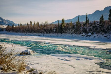 Unfrozen turquoise Katun river in Altai mountains on a frosty winter day. Incredible mountain valley landscape in sunlight.の写真素材
