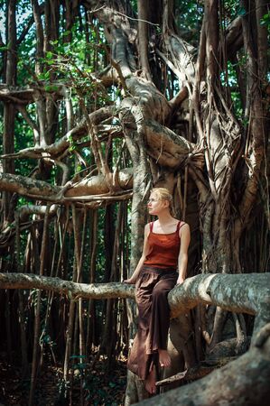 Blonde sitting on huge tree with curly hanging branches. Young attractive girl enjoying calm on Banyan tree on sunny summer day.の写真素材