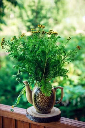 Decorative composition of meadow flowers in ceramic vase on the terrace of country house, close-up. Bouquet of wildflowers on a background of green foliage, selective focus. Home decoration concept.の写真素材