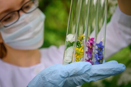 Glass test tubes with plant samples, close-up. Female hands in medical gloves holding flasks, blurred background. Study of plants, medicinal herbs, creation of natural floral aromas.の写真素材