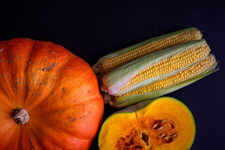 Ripe corn cobs and pumpkin on dark wooden background, top view. Autumn coming, thanksgiving day concept.の写真素材