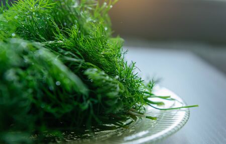 Fresh green dill branches, selective focus, close-up. Dill branches prepared for salad or freezing....