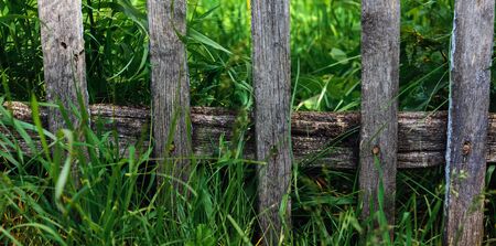 Old dilapidated wooden fence with rusty nails against of lush green grass. Concept of simple rural life. Village background.の写真素材