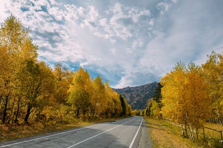 Asphalt mountain road among the yellow autumn birches and high rocks under beautiful cloudy sky. 