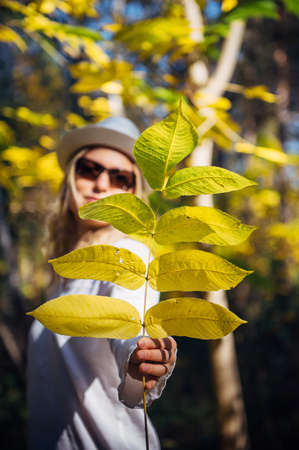 Young woman in white clothes holds out a branch with autumn leaves, blurred background, focus on...