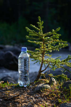 Bottle of clear icy water from mountain stream near a small coniferous tree in the sun rays, blurred background. Image for advertising drinking water.の写真素材