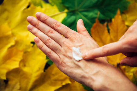 Female hands applying moisturizing cosmetic cream, close up. Blurry background of autumn foliage. Dry skin needs to hydrated and nourished. Concept of adulthood, reduced collagen production.の写真素材