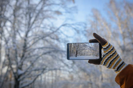 Hand in wool glove holding smartphone and takes pictures of beautiful winter landscape in snow-covered forest. Focus on smartphone screen, blurred background. Working in cold conditions.の写真素材