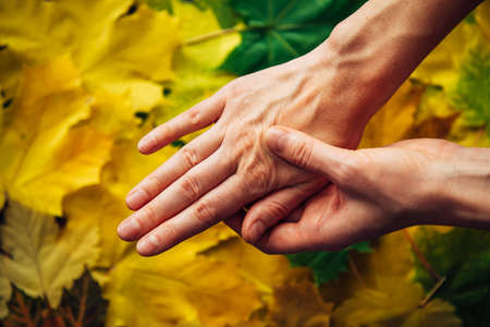 Female hands with fading skin close-up on blurry background of autumn foliage. Dry skin needs to hydrated and nourished. Concept of adulthood, menopause, and reduced collagen production.の写真素材