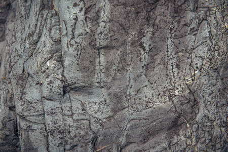 Abstract stone background. Rough surface of gray rock with cracks and natural pattern, close up....