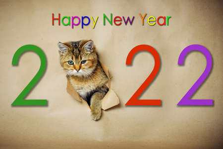 Funny ginger kitten looks through a hole in brown craft paper, with inscription new year 2022. Home...