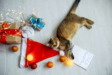 Cute red kitten lying on the floor among Christmas accessories: balls, garlands, Santa Claus hat, gift boxes and notebook with inscription. New year still life. Top view.の写真素材