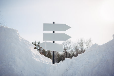 Empty white pointers, guidepost against winter nature background. Directional arrow signs on pole in...
