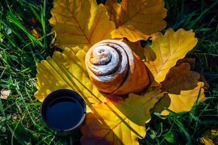 Sweet sugar bun and thermo cup with hot beverage, close-up. Picnic on autumn grass without garbage and environmental pollution. Concept of waste-free lifestyle.の写真素材