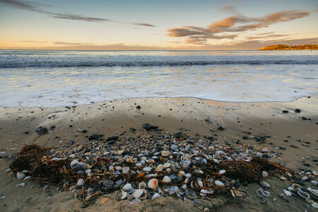 The beach after the ebb