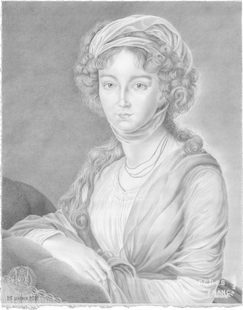 A series of portraits and illustrations dedicated to the Napoleonic wars, French Empire, Russian Empire, the great generals and heroes of the Patriotic war of 1812.の写真素材