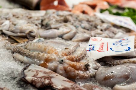 Close-up of fresh octopus on the fish market.の写真素材