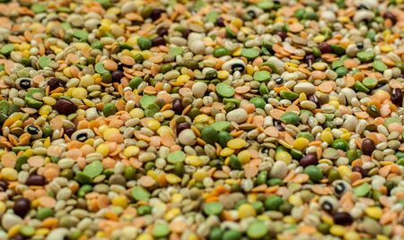 Variety of dried peas and lentils.の写真素材