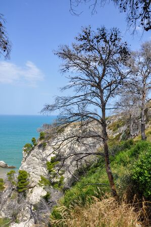 Mediteranean sea coast landscape, blue clear sky and sea.の写真素材