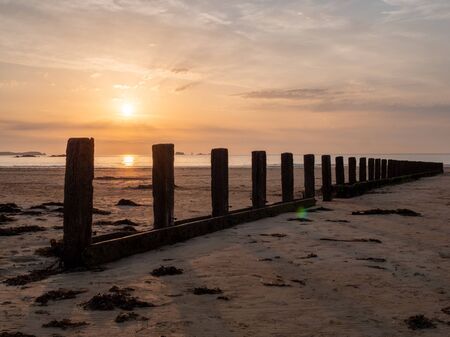 A wooden breakwater on the sand beach at the beautiful sunset.の写真素材