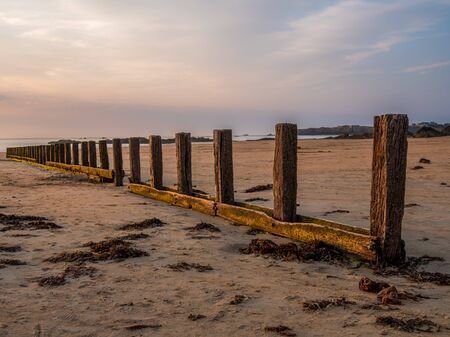 A wooden breakwater on the sand beach at the beautiful sunset.の写真素材