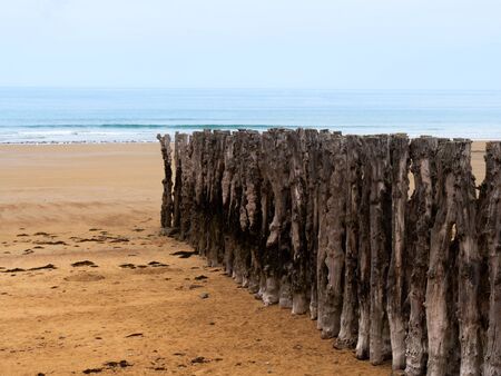 An old wooden breakwaters on the coastline.の写真素材
