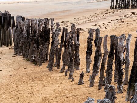 An old wooden breakwaters on the coastline.の写真素材