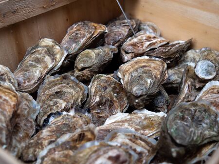 Close up of the fresh oysters in the wooden box on a seafood market.の写真素材