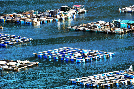 On Lamma Island in Hong Kong, various small fish farms can be found. From the look they almost appear improvised but still always colorful.のeditorial素材