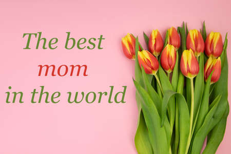 Red-yellow tulips on a pink background and the text THE BEST MOTHER IN THE WORLD.の写真素材