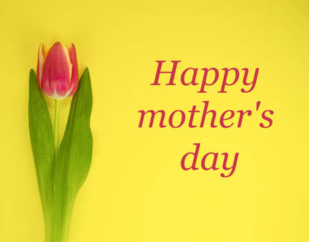 Red-yellow tulip on a yellow background and text HAPPY MOTHERS DAY.