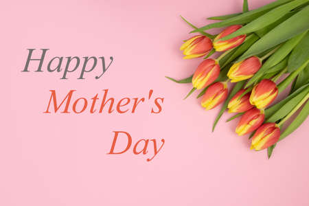 Tulips are yellow-red, on a pink background and the text HAPPY MOTHERS DAY.の写真素材