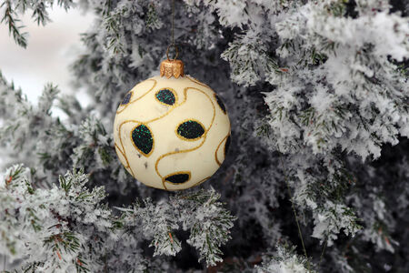 Red Christmas balls on a snow-covered tree branchの写真素材