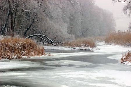 winter landscape. Ice river in the forest. Ukraineの写真素材