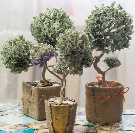 photo of money trees made with dollarsの写真素材