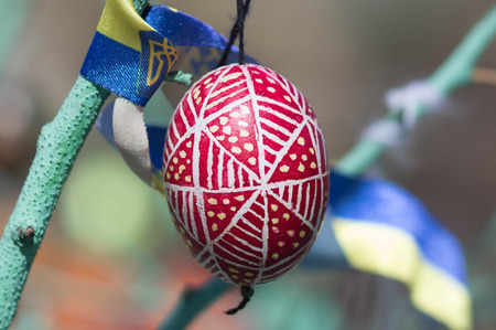 easter eggs on a spring branch, Clouse-upの写真素材