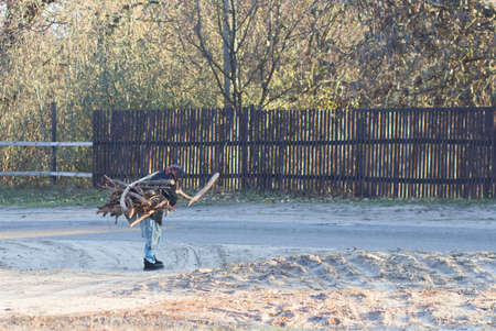 Old woman carrying firewood for winter. Ukraineの写真素材