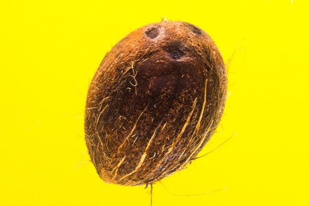Fresh Coconut  isolated on yellow background