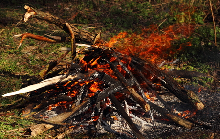 fire in nature . bokeh from the fire . Bonfire clouseupの写真素材