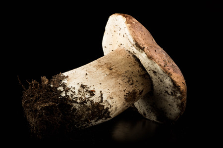 Delicious boletus mushrooms isolated on black background. Culinary mushroom eating.