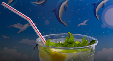 mojito cocktail and fresh ingredients in a tropical landscape.
